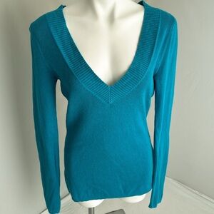 Express teal wide band v-neck fitted sweater